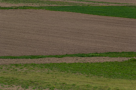 Plowed, Planted And Hilling Rows Black-earth Field. Ground Texture.