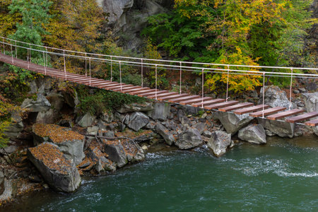 Suspension bridge, walkway to the adventurous, cross to the other side.