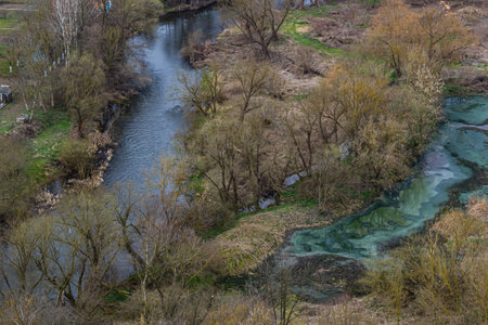 wide river in green banks overgrown with woods.