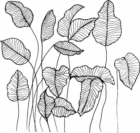 Vector branches and leaves. Hand drawn floral elements. Vintage botanical illustrations.のイラスト素材