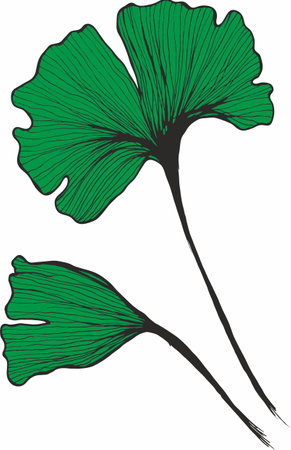 Vector branches and leaves. Hand drawn floral elements. Vintage botanical illustrations.のイラスト素材