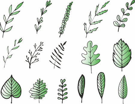 Set od various tree leaves. Vector illustration collection.のイラスト素材