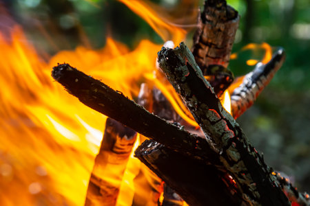 Flame of charcoal fire. Hearth for cooking and heating. Danger in the forest.