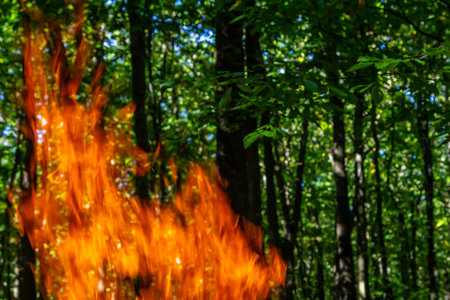 Flame of charcoal fire. Hearth for cooking and heating. Danger in the forest.
