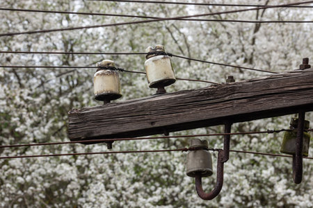 A weathered utility pole with three glass insulators is framed by white flowering trees. The image captures the essence of spring and the beauty of nature intertwined with utility structures.の写真素材