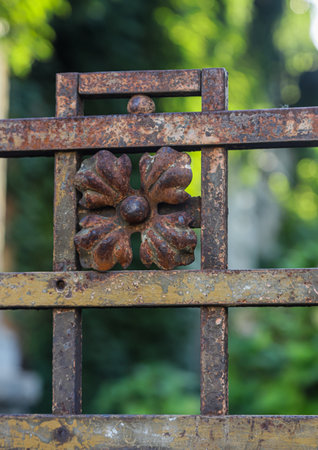 A close-up view showcases a rusty metal gate adorned with a floral design. The gate stands out against the vibrant greenery of Bucharest, Romania.の写真素材