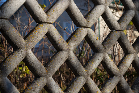 Intricate lattice fence features a geometric pattern, framed against a backdrop of overgrown foliage...