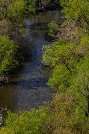 A winding river means through a lush landscape, flanked by vibrant green trees and shrubs under...