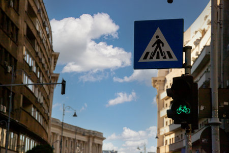 A pedestrian crossing sign stands prominently against a clear sky.の写真素材
