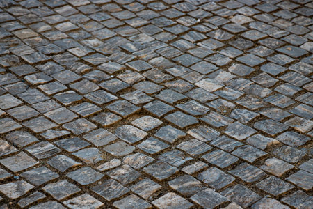 The cobblestone street in Bucharest features a captivating design, reflecting the city's rich history and vibrant culture during early evening light.の写真素材