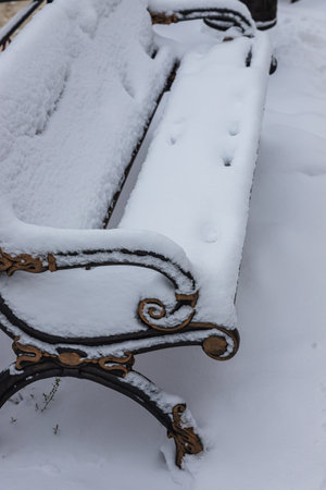 A park bench is blanketed in fresh snow, surrounded by a tranquil winter landscape, inviting quiet reflection and appreciation of nature's beauty.の写真素材