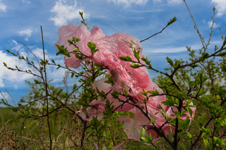 A pink plastic bag is entangled in the branches of a bush, set against a backdrop of a cloudy sky...
