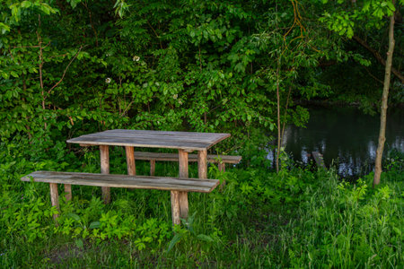 Wooden picnic table and benches set in a serene green setting beside a calm stream during late...