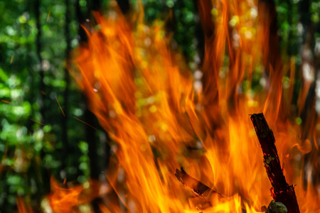 Flame of charcoal fire. Hearth for cooking and heating. Danger in the forest.の写真素材