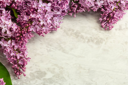 Spring feminine scene, floral composition. Decorative banner, corner made of beautiful purple lilac flowers. White table background. Flat lay, top view.の写真素材