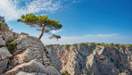 A resilient tree thrives on a steep cliff, demonstrating its strength against the rugged landscape and clear blue sky.の素材