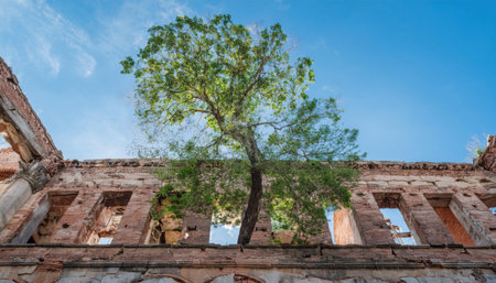 A vibrant green tree emerges triumphantly from the ruins of an abandoned building, symbolizing resilience amidst decay.の素材