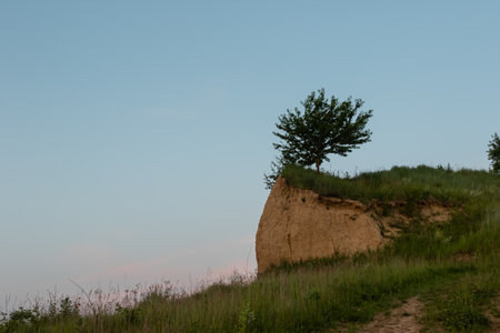 A solitary tree grows on the edge a cliff surrounded by green grass under a vast blue sky during tranquil evening time in nature.の写真素材