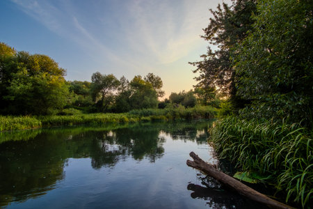 Calm river flows through dense greenery as the sun sets creating a serene atmosphere with colors reflecting on the water's surface surrounded by trees.の写真素材