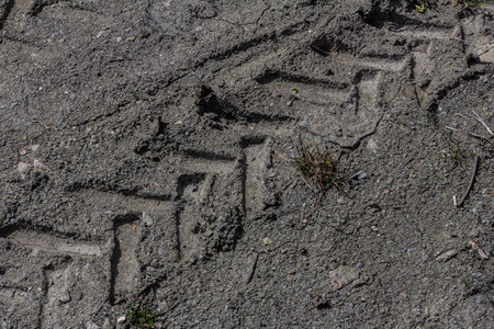 Distinct tire tracks carved into dry dusty ground show signs of vehicle passage through a rural area surrounded by sparse vegetation and sunlight.の写真素材