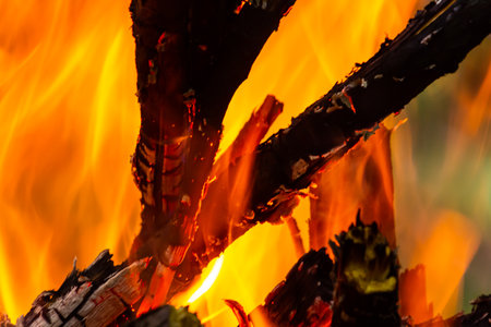 Flame of charcoal fire. Hearth for cooking and heating. Danger in the forest.の写真素材