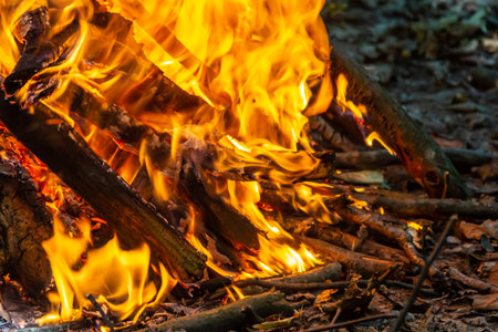Flame of charcoal fire. Hearth for cooking and heating. Danger in the forest.