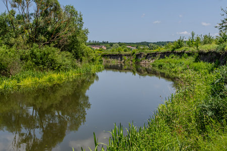 A calm river winds through thick greenery reflecting the blue sky above. Sunlight illuminates the...
