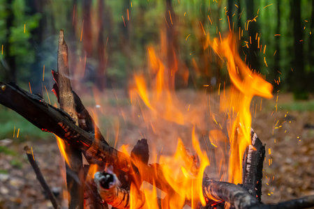 Flames rise from a pile of burning logs tranquil forest at dusk with subtle sparks flying in the air surrounded by trees and soft earth.の写真素材