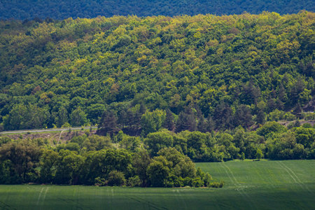 Lush green landscape showing vibrant trees and rolling hills in a serene countryside setting during...