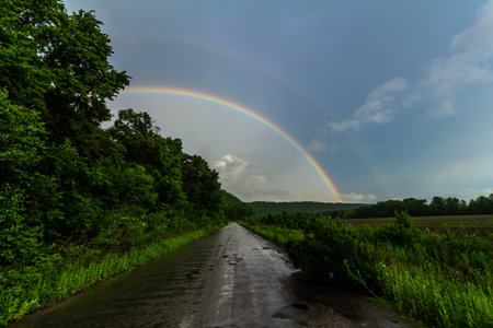 Bright rainbow spans the sky above winding wet road flanked by verdant trees and fields showing nature's beauty after a rain shower during summer.の写真素材
