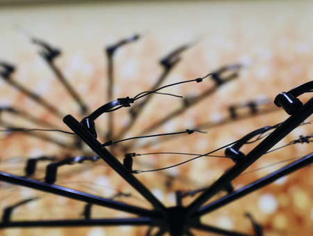 A complex arrangement of ceiling wires forms an artistic suspension structure in a contemporary indoor space illuminated by natural light.の素材