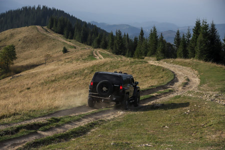 A four-wheel drive vehicle traverses a challenging dirt path surrounded by tall coniferous trees...