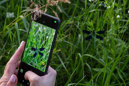 A hand holds a smartphone aimed at a dragonfly resting in tall grass under bright daylight...