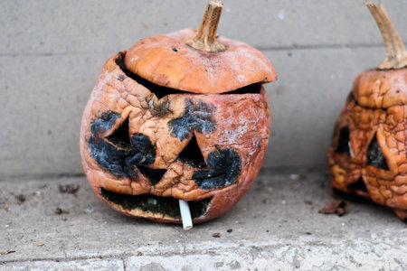 This image captures a scene of post-Halloween decay, featuring two pumpkins left to weather the elements. The primary focus is on a rotting pumpkin with a carved face, its features now distorted by decomposition. The pumpkin's surface is mottled with discoloration and soft spots, a testament to the natural breakdown of organic matter. Beside it, another pumpkin shares a similar fate, its orange hue fading as it succumbs to the effects of time and exposure. The setting is simple: a concrete surface, providing a neutral backdrop that highlights the pumpkins' deterioration. The composition invites reflection on the ephemeral nature of celebrations and the inevitable decay that follows. It also serves as a reminder of the life cycle, from vibrant display to eventual return to the earth. The contrasting textures â the rough concrete, the softening pumpkin skin â create a visually interesting composition that draws the viewer in. This image could be used to illustrate themes such as the passage of time, the beauty of decay, or the aftermath of festive events. It also provides an opportunity to explore the symbolism of Halloween and the transient nature of our celebrations. The pumpkins themselves serve as metaphors for mortality, reminding us that all things eventually come to an end. However, there is also a certain beauty to be found inの写真素材