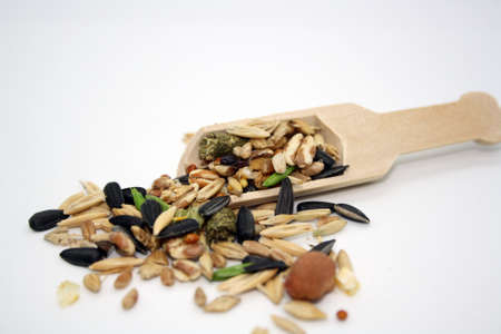 Food for rodents or birds in a wooden spoon on a white background. Space for text.の写真素材