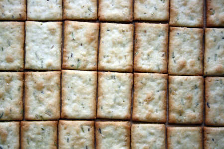 Crackers with rosemary and dill. Culinary background. Space for text.