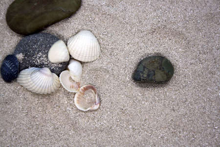 Sea round stones and seashells on the fine sand. Selective focus. Space for text.