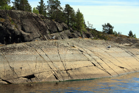 Fjords of the Karelian Isthmus. Rocky islands in the wild. Karelia. Landscapes with water and trees.の写真素材