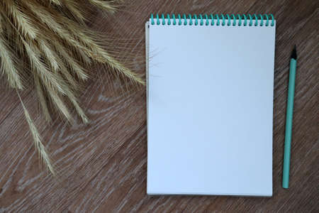 Mockup of open empty blank page of white spiral notepad with blue pencil and dried ears of wheat on...