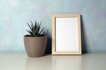 An empty frame and a Havortia plant on a bookshelf or table. Space for text. blue backgroundの写真素材