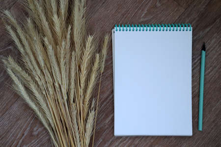Mockup of open empty blank page of white spiral notepad with blue pencil and dried ears of wheat on...