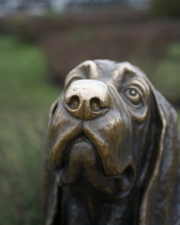 Sculpture dog breed basset hound in Kostromaの写真素材