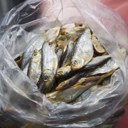 Dried fish in a small package, beer snackの写真素材