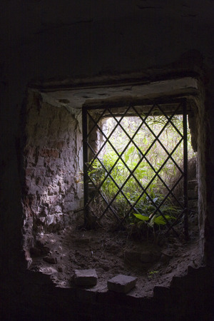 Windowの写真素材