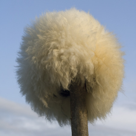 Papakha - Caucasian national men's headwear from sheep fur