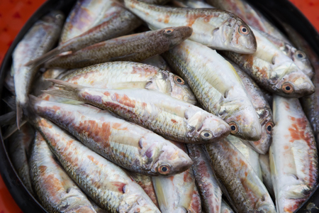 Raw fish, surmullet - Crimean delicacy.の写真素材