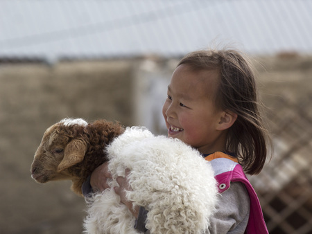OLGIY, MONGOLIA - JUNE 23 - Little Mongolian girl holding a lamb. June 23, 2016 in Mongolia, Olgiy.のeditorial素材