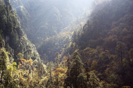 Mountain autumn landscape. Himalayas, Nepal