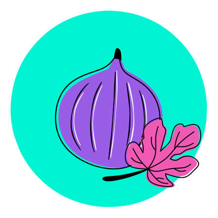 Cartoon fig fruit flat iconのイラスト素材