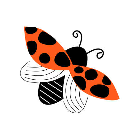 Cute cartoon insect ladybug isolated on white backgroundのイラスト素材